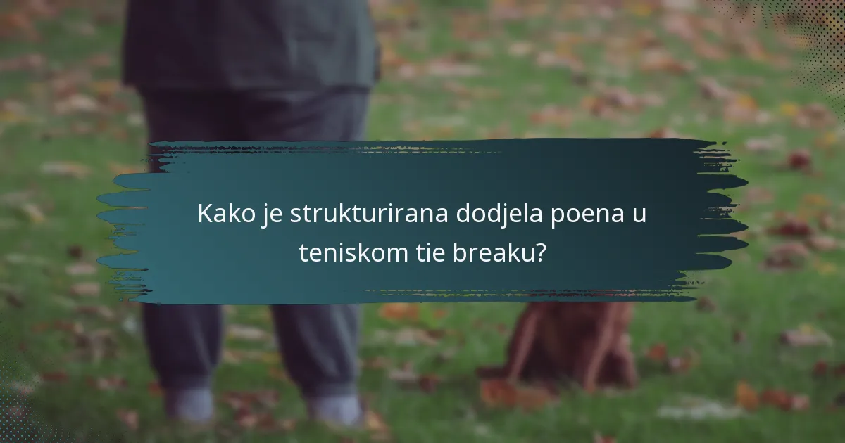 Kako je strukturirana dodjela poena u teniskom tie breaku?