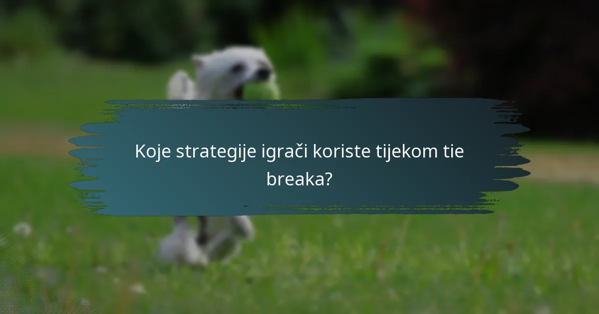 Koje strategije igrači koriste tijekom tie breaka?