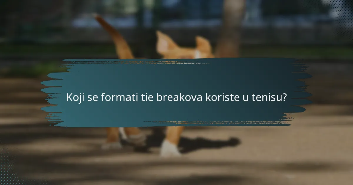 Koji se formati tie breakova koriste u tenisu?